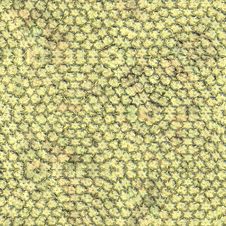 Seamless Gold Leaf Royalty Free Stock Image Seamless Gold Leaf Royalty Free Stock Image