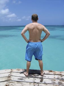 Caribbean Plunge Stock Image