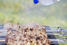 Shish Kebab On The Grill Royalty Free Stock Images