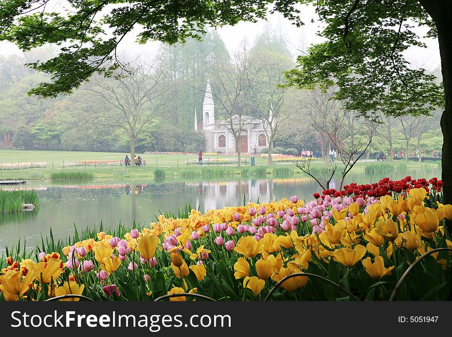 Church with tulip in park. Church with tulip in park