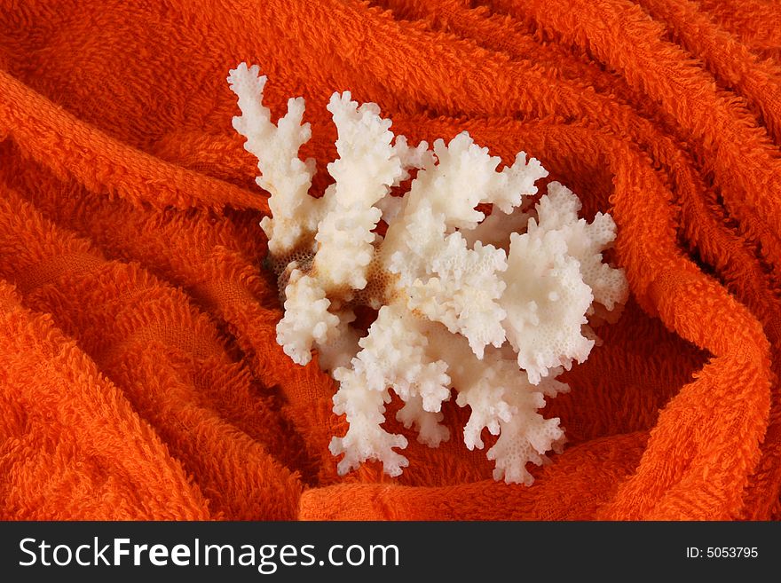 Corals of red sea on a towel