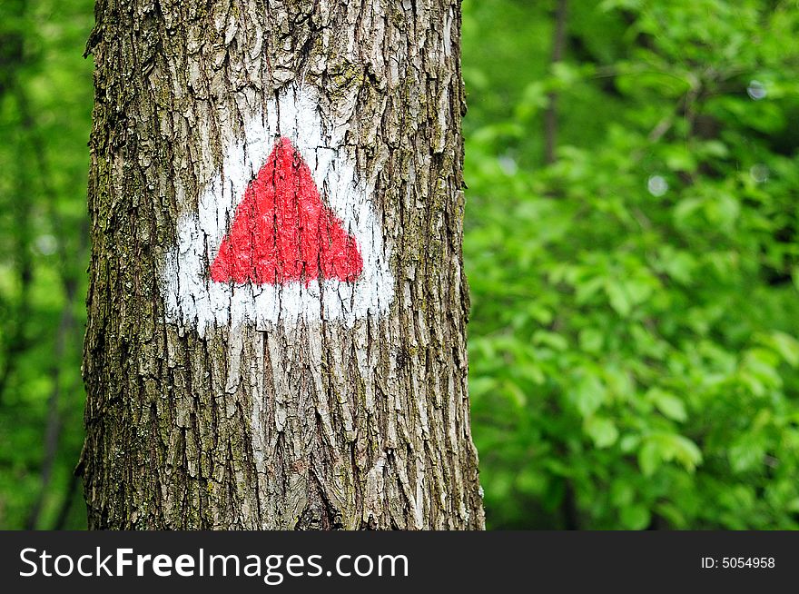 Touristic path-mark in the forest. Touristic path-mark in the forest