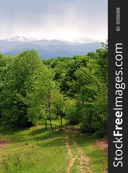 A view with a Country Path