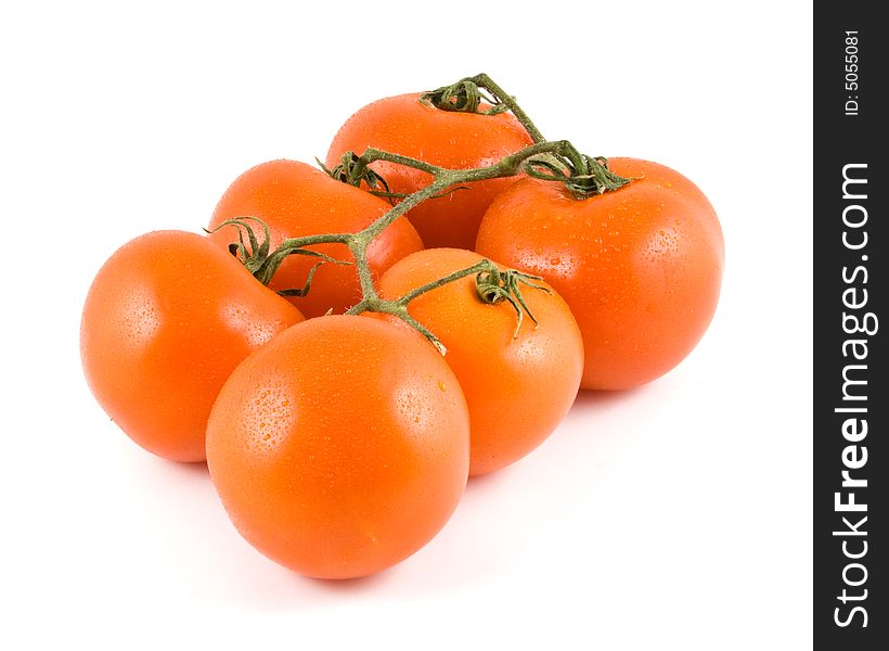 Fresh tomatoes with waterdrops isolated on a white background