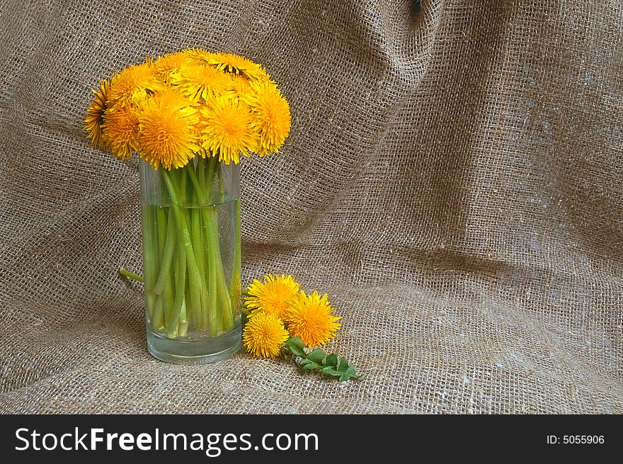 Bunch of dandelions in glass vase on canvas background
