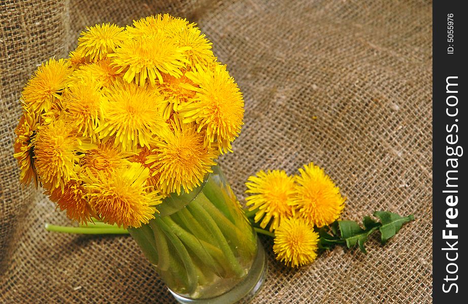 Bunch of dandelions in glass vase on canvas background