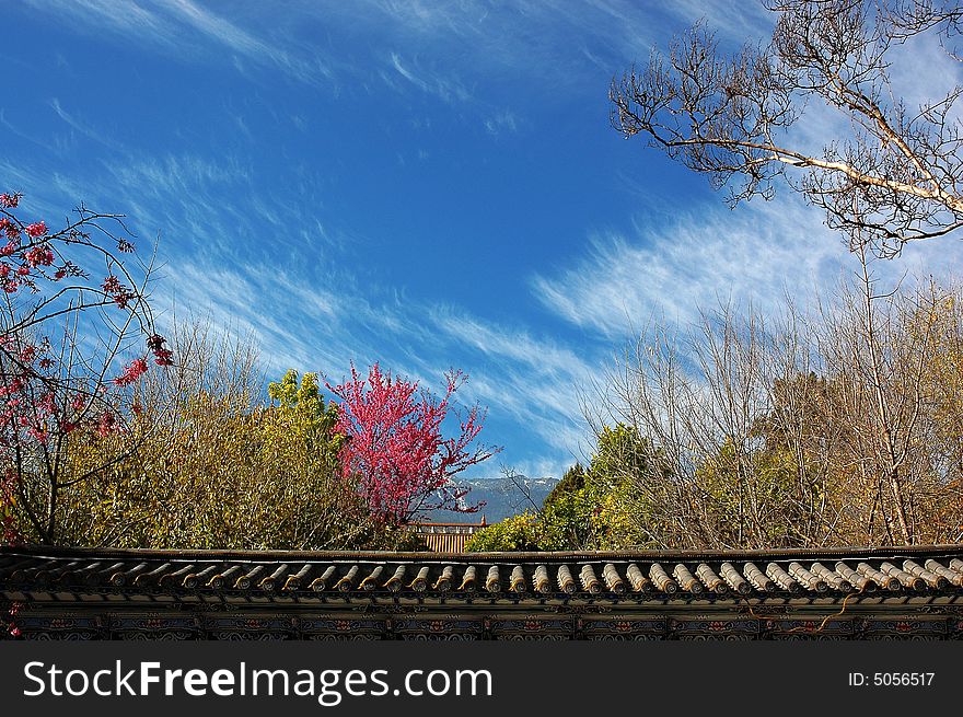 The great colour of the flowers and trees in the garden, you can through the wall and saw it, it is a fantastic view