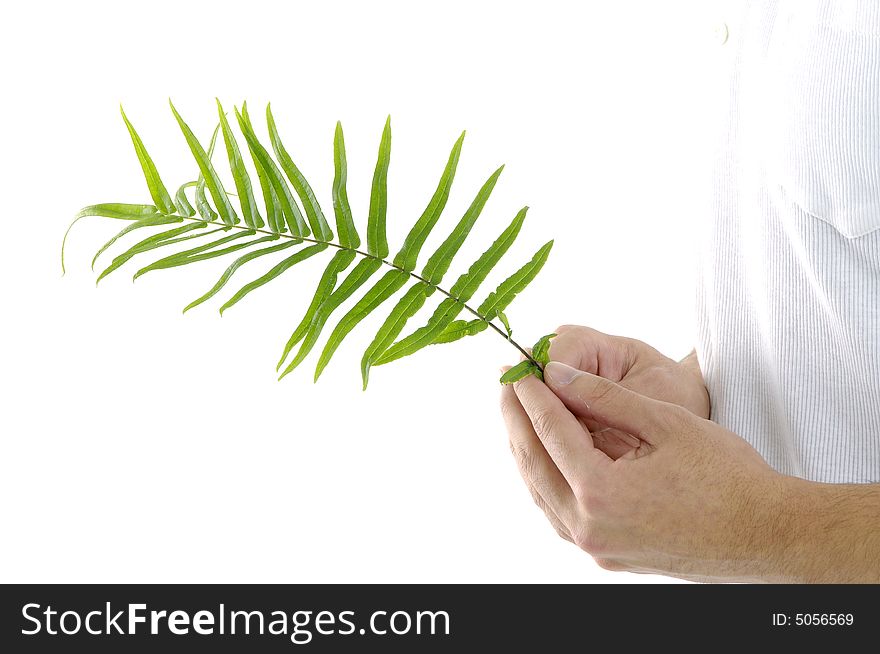 Man on holding a small plant