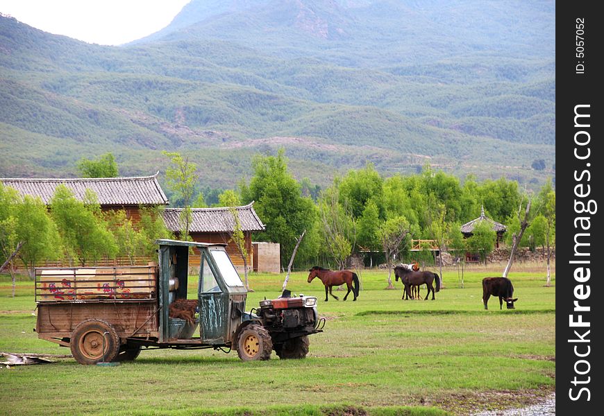 Rural life in lijiangï¼Œyunnan province