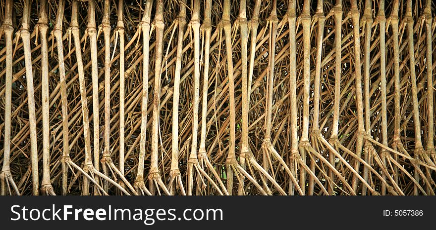 Bamboo pattern in twig fence