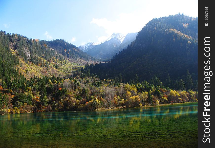 Peacock lake in jiuzhaigou valley sceneï¼Œsichuan province