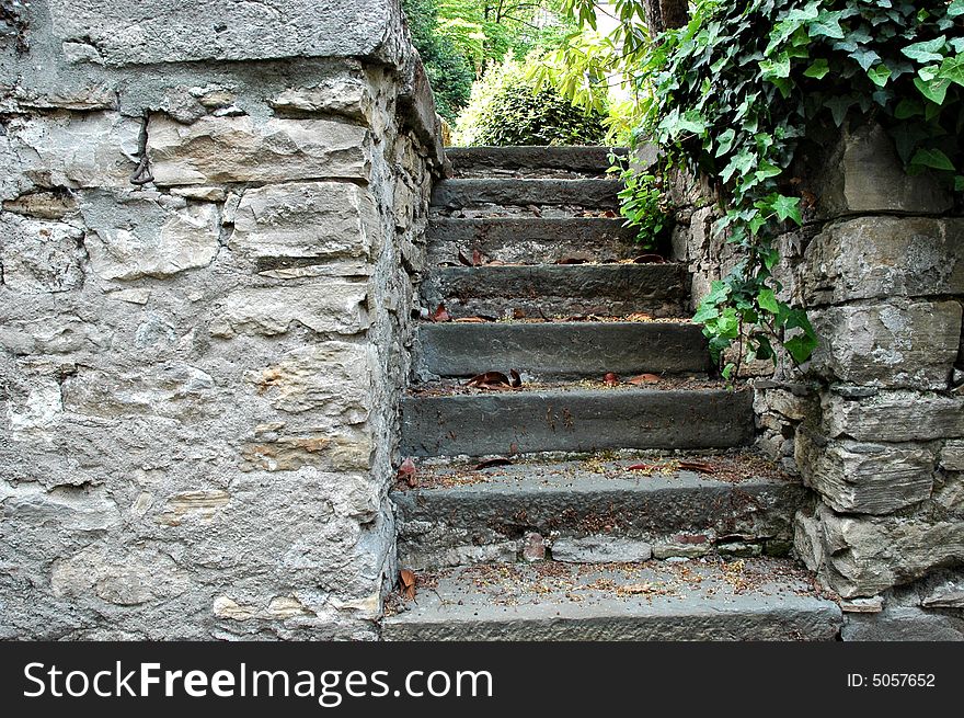 Old stairs with stones, plants and bush for access to medieval castle. Old stairs with stones, plants and bush for access to medieval castle