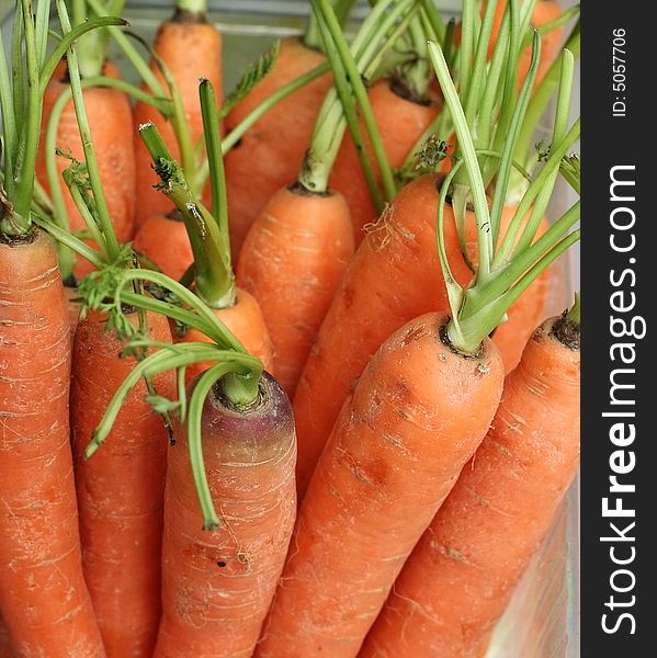 Freesh carrots on a street market