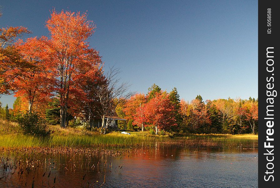 Autumn lakeside cottage scene in full fall colors. Autumn lakeside cottage scene in full fall colors.