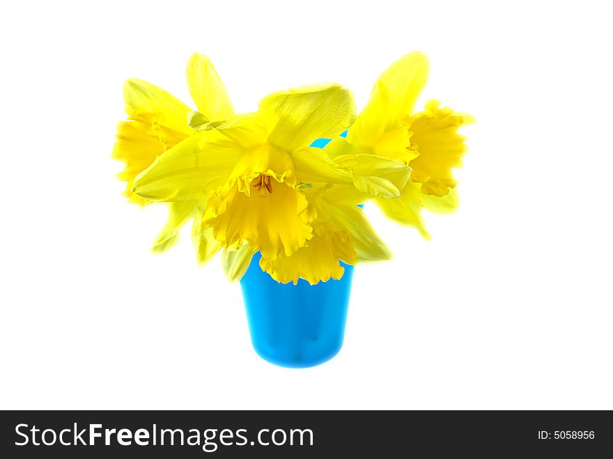 Daffodils In Blue Vase