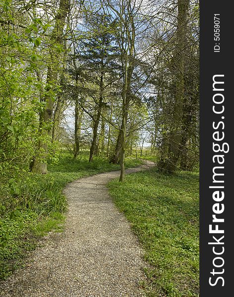 Woodland leisure walk in spring, May, UK. Woodland leisure walk in spring, May, UK.