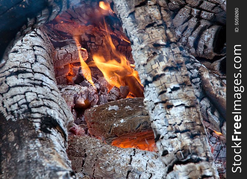 Bonfire. Live fire. Firewood burn hot.