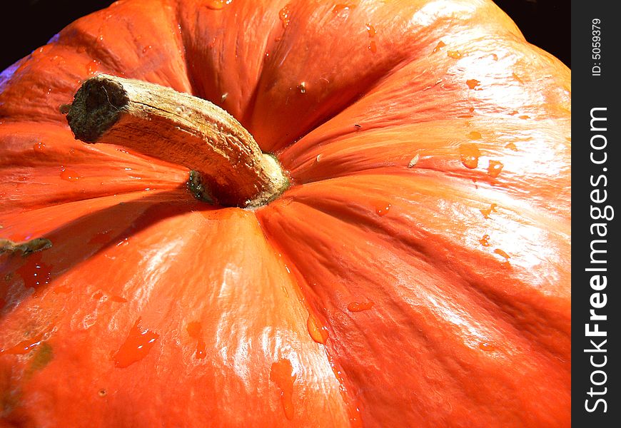 Big Pumpkin from the side on black background. Big Pumpkin from the side on black background