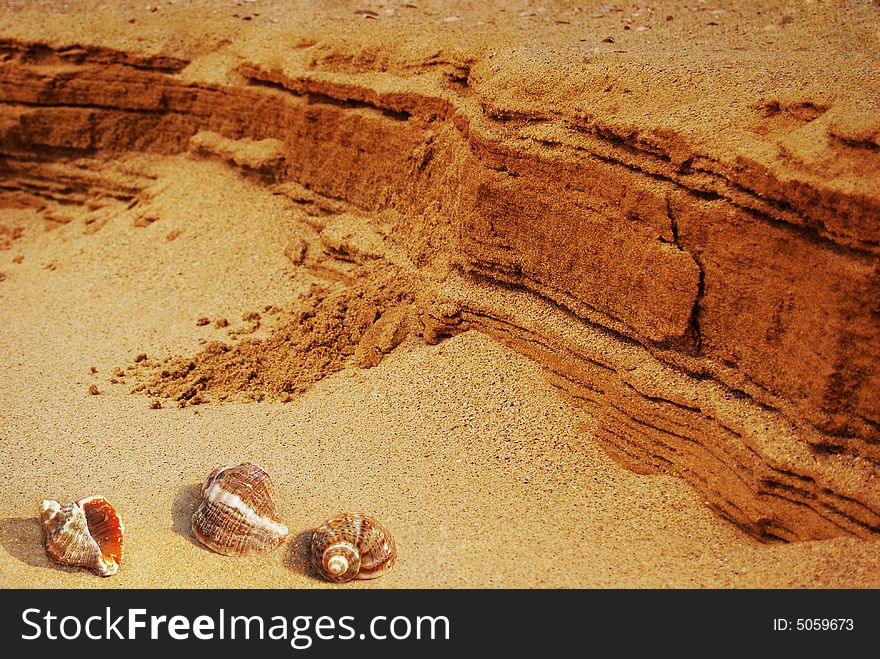 Seashells on the hot orange sand. Seashells on the hot orange sand