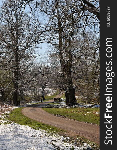 Winding drive through trees after light snow shower