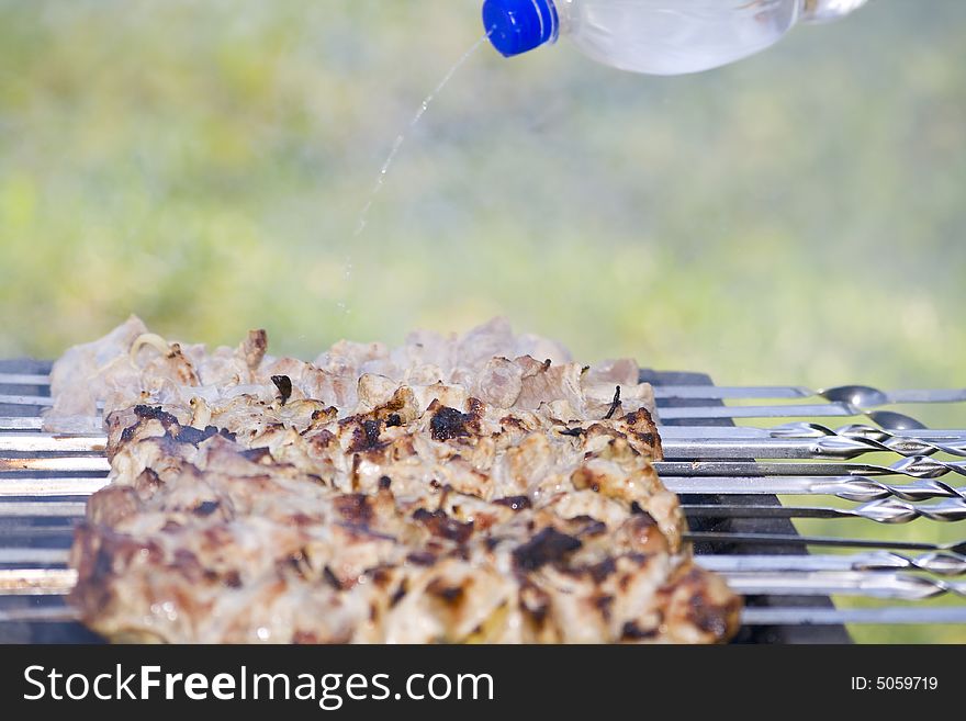 Shish Kebab On The Grill