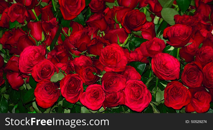 Natural Lovely Red Roses