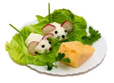 Salad - Two Mouse And Cheese Stock Photography