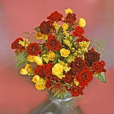 Bunch Of Roses Stock Images
