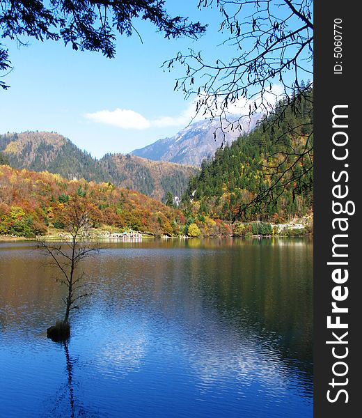 Peacock lake in jiuzhaigou valley scene，sichuan province