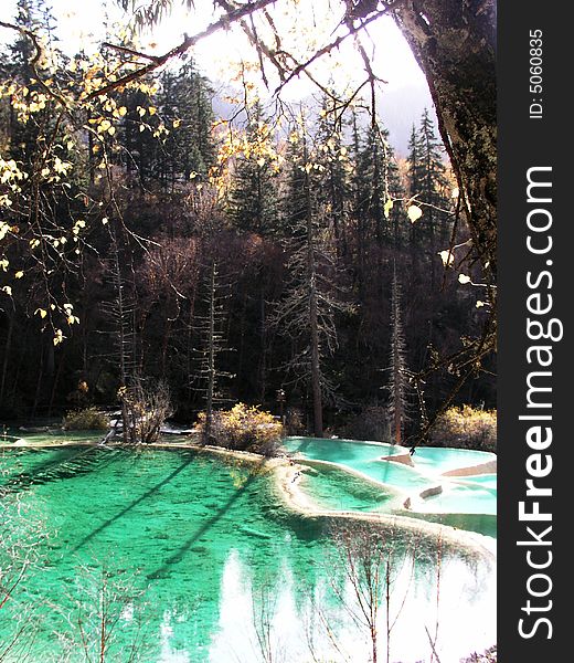 Shining  lake in jiuzhaigou valley scene. Shining  lake in jiuzhaigou valley scene