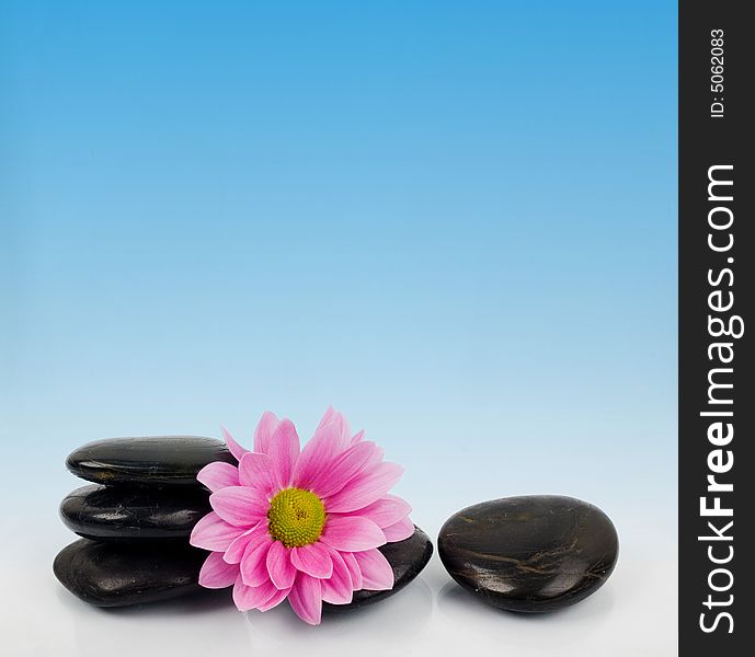 An image of row of stones with flower on blue background. An image of row of stones with flower on blue background