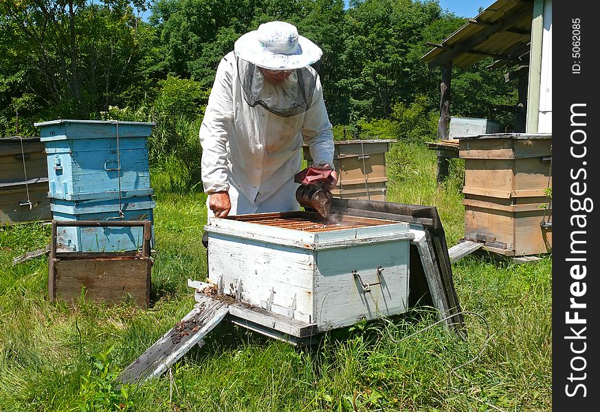 Beekeeper 24
