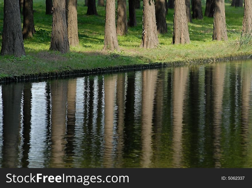 Lake landscape with tree and grass