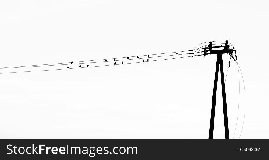 Blue sky an birds on the wires