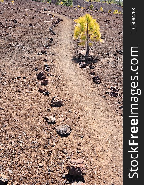 Trail through volcanic landscape at tenerife,spain. Trail through volcanic landscape at tenerife,spain