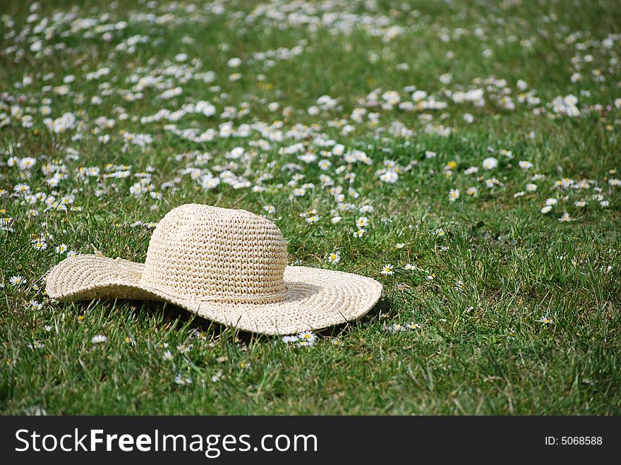 Hat in a daisy filled meadow. Hat in a daisy filled meadow