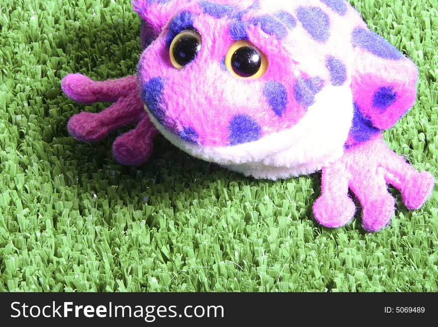 A violet frog on the grass
