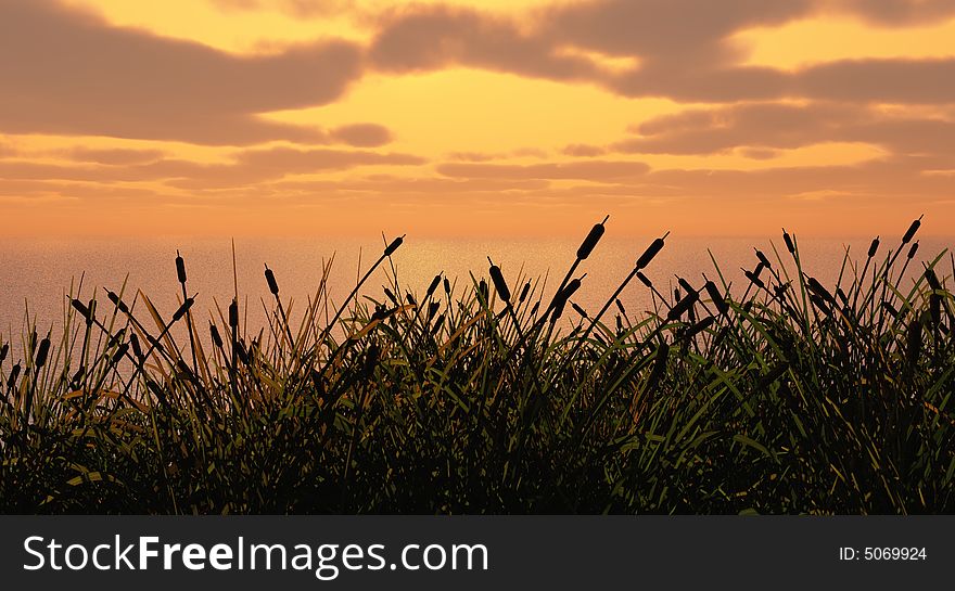 Water plants on a sea sunset background - 3D scene. Water plants on a sea sunset background - 3D scene.