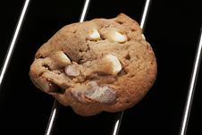 Cookie Biscuit With White Chocolate And Nuts Stock Image Cookie Biscuit With White Chocolate And Nuts Stock Image