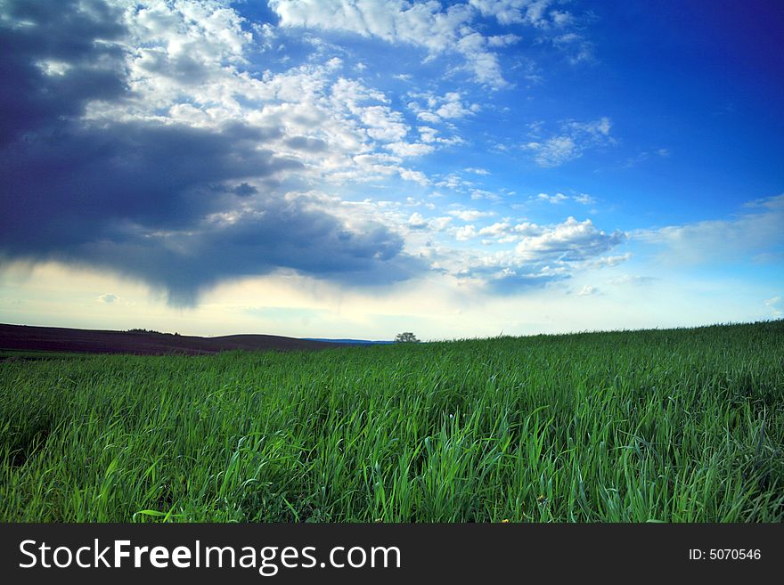 Green field and blue sky with thunder-clouds on it. Green field and blue sky with thunder-clouds on it