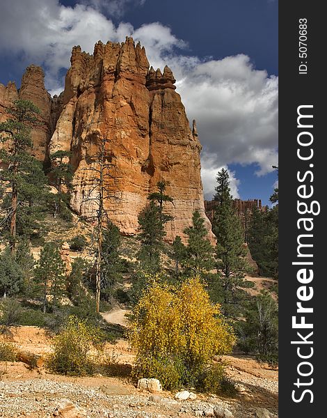 The well-known orange rocks in Bryce canyon in state of Utah USA. The well-known orange rocks in Bryce canyon in state of Utah USA