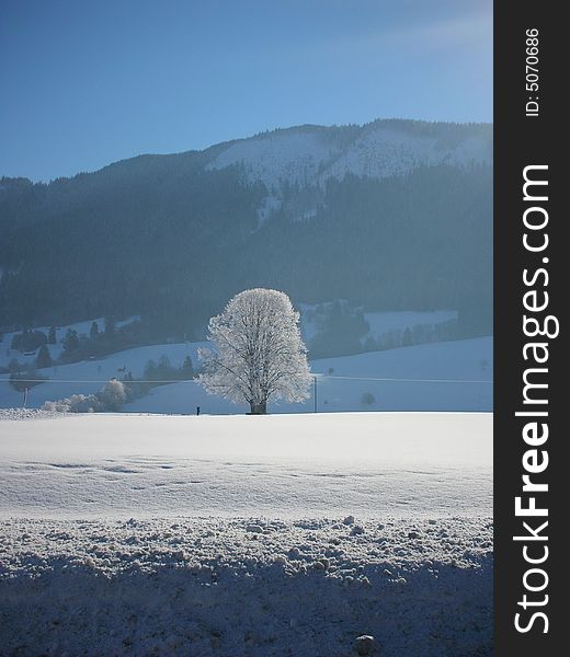 Landscape picture of south germany (bavaria). Landscape picture of south germany (bavaria)