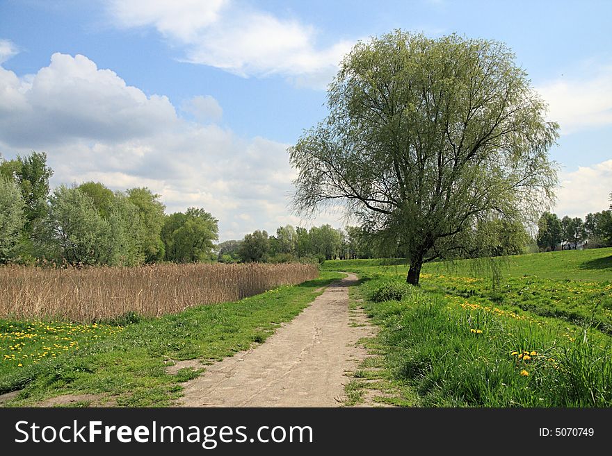 Countryside path in green field with blue sky