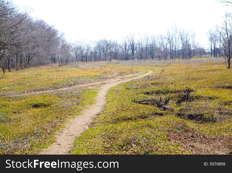 Road in a countryside in spring. Road in a countryside in spring