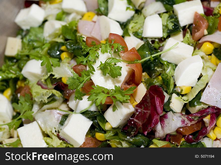 Healthy fresh salad with mozarella