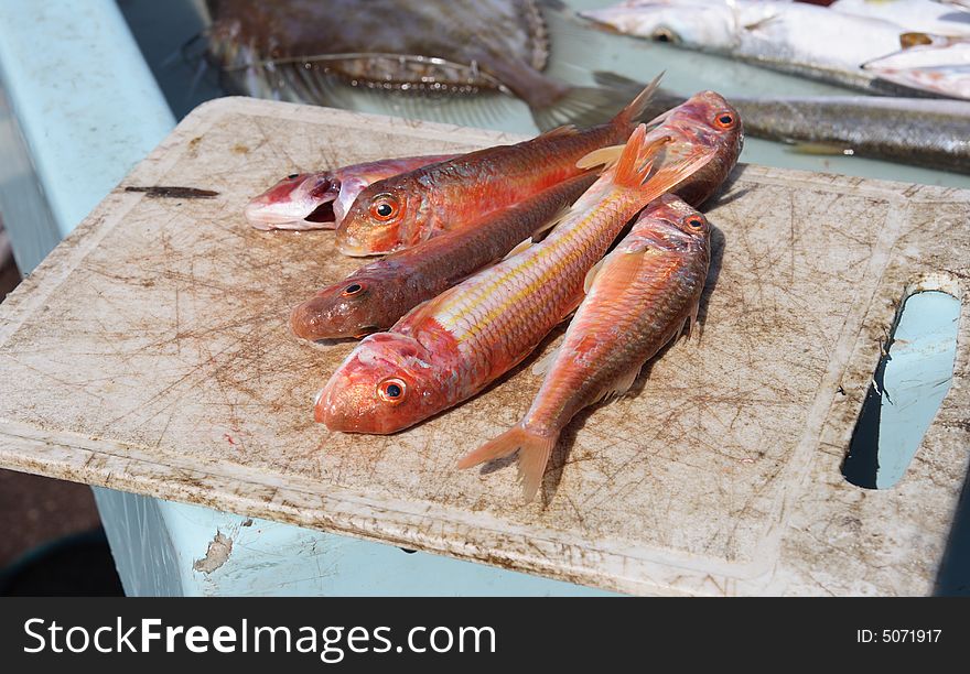 Freshly cleaned fish at the market in Marseille, France