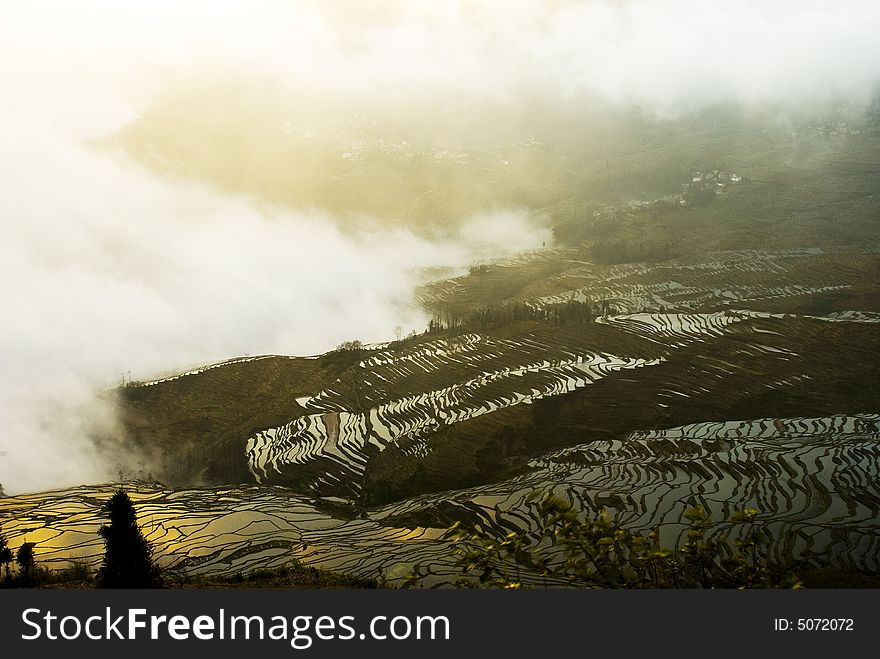 Yuanyang Ladder Field