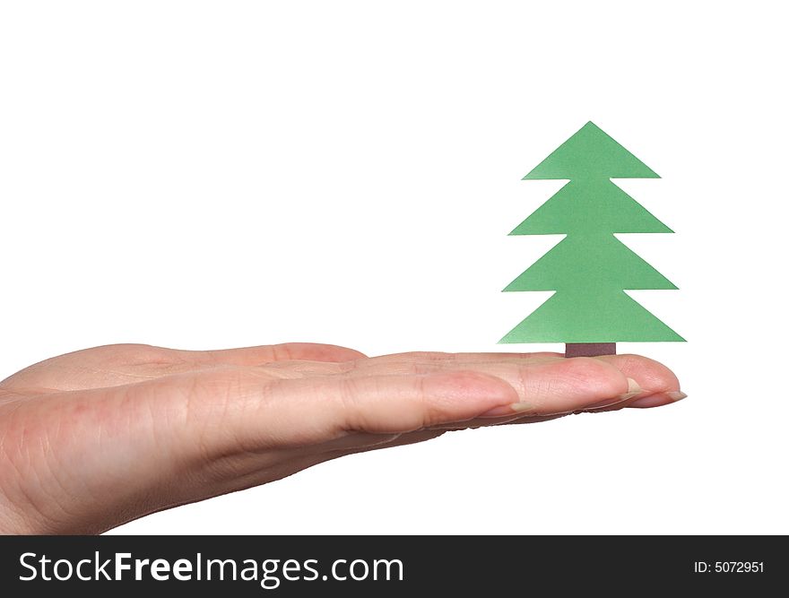Palm holding Christmas tree isolated over white
