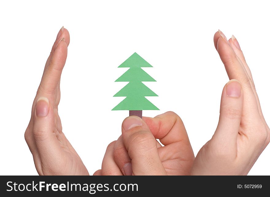 Taking care of Christmas tree isolated over white