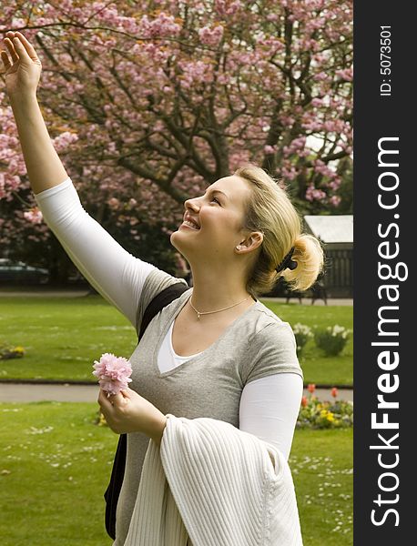 Young women in a park with pink cherry blossoms reaching to a branch. Young women in a park with pink cherry blossoms reaching to a branch